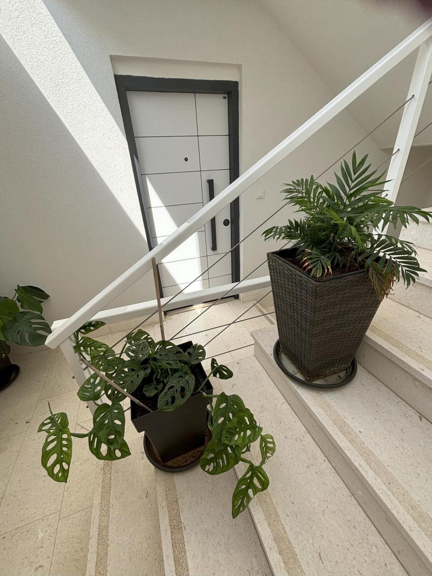 Vila Regina Apartment Regina With Swimming Pool 제제라 외부 사진