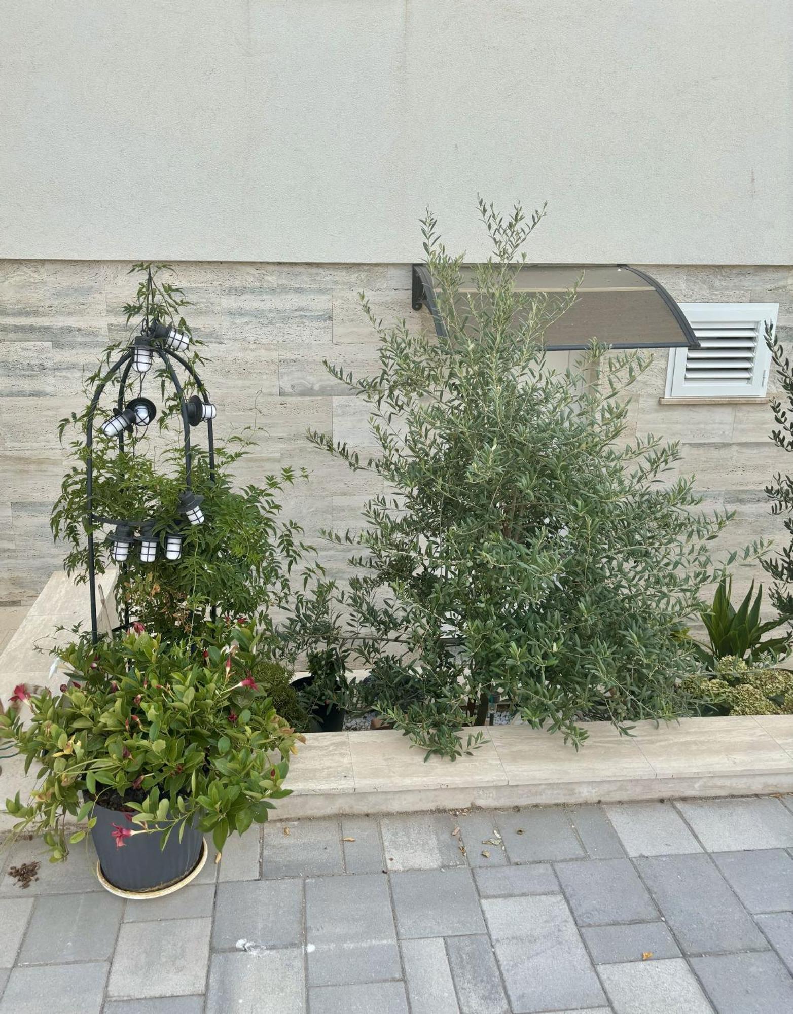 Vila Regina Apartment Regina With Swimming Pool 제제라 외부 사진